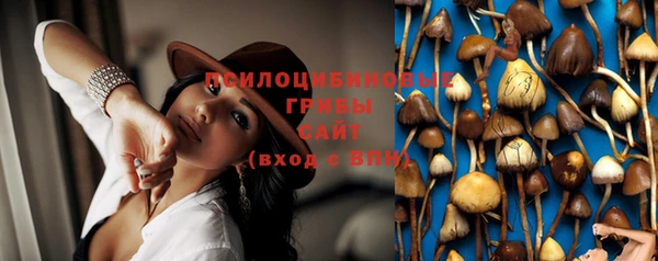 ешки Арсеньев