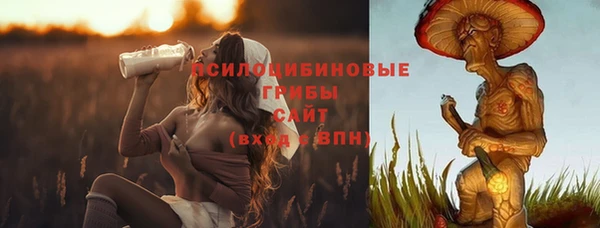 шишки Аркадак