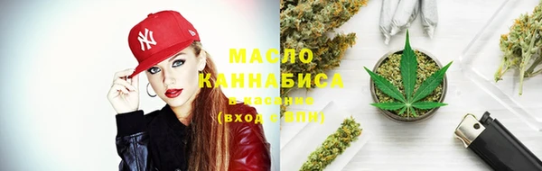 шишки Аркадак