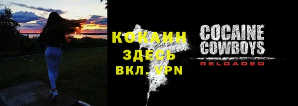 ешки Арсеньев