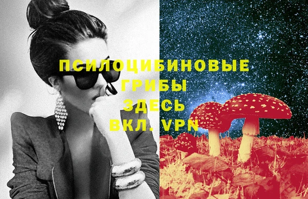 mdpv Армянск