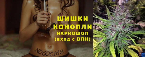 ешки Арсеньев