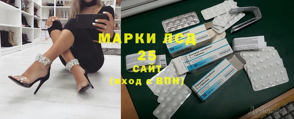 шишки Аркадак