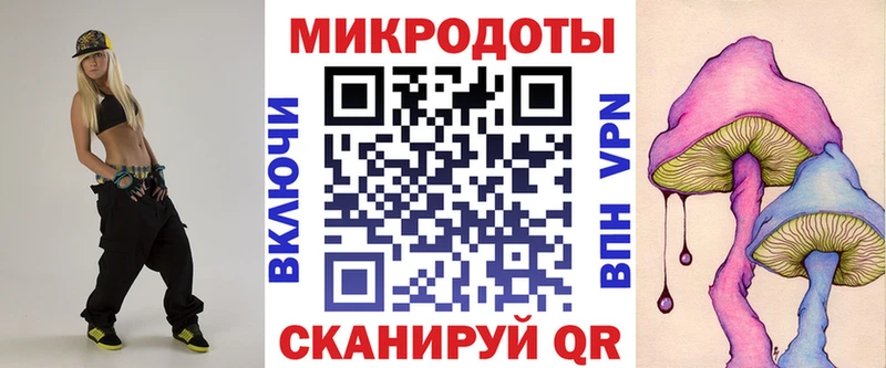 Галлюциногенные грибы Psilocybe  Купить  Миньяр 