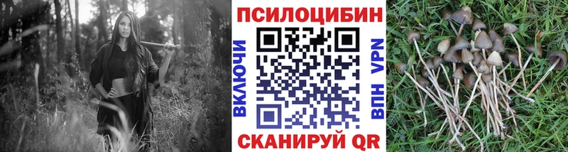 Галлюциногенные грибы ЛСД Миньяр